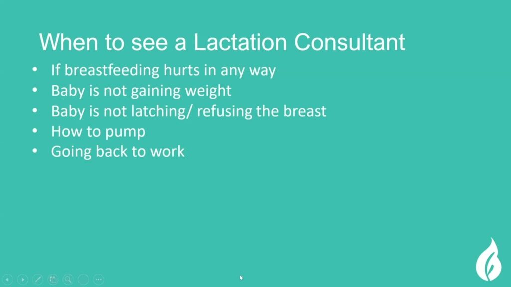 Importance of Nutritional Support for Breastfeeding Moms